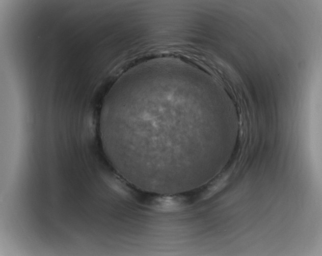 X0000116140558200911231313