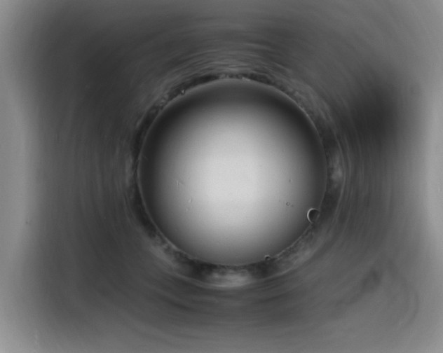 X0000116140559200911231313