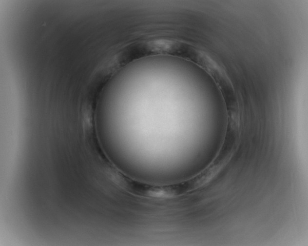 X0000116140561200911231313