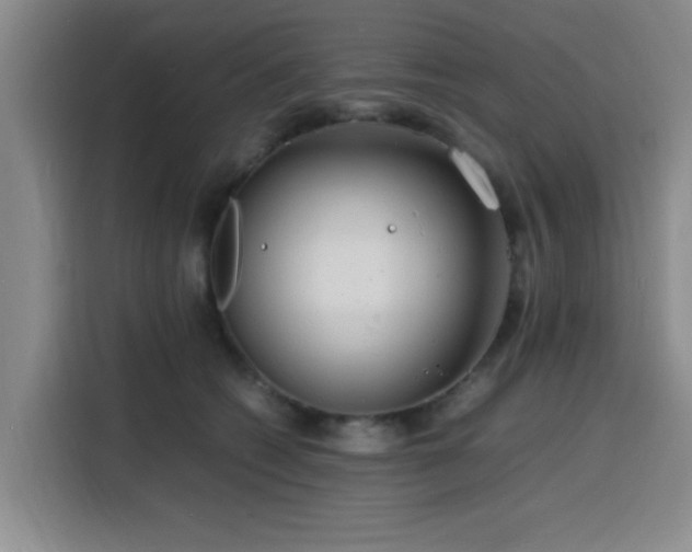 X0000116140562200911231313