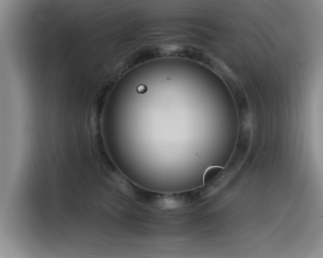 X0000116140565200911231313
