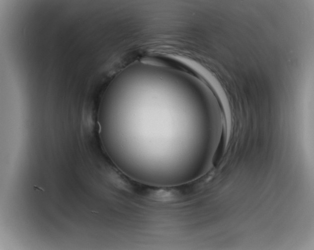 X0000116140566200911231313