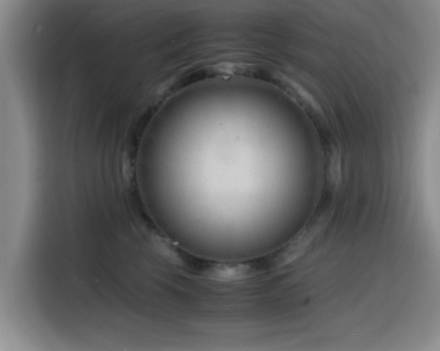X0000116140569200911231313