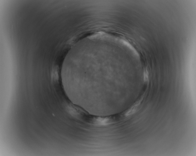 X0000116140570200911231313