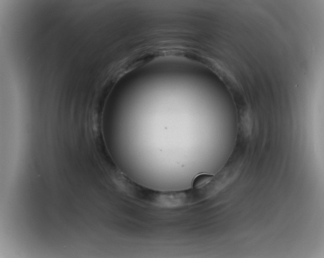 X0000116140571200911231313