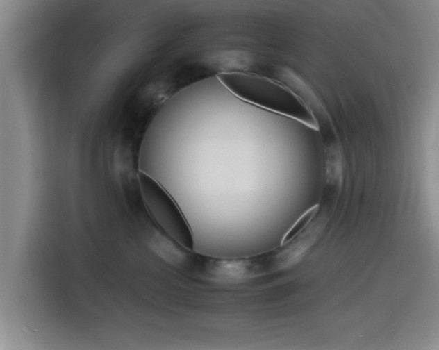 X0000116140573200911231313