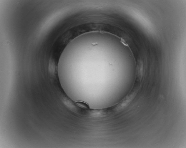 X0000116140574200911231313