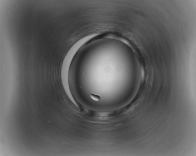 X0000116140575200911231313
