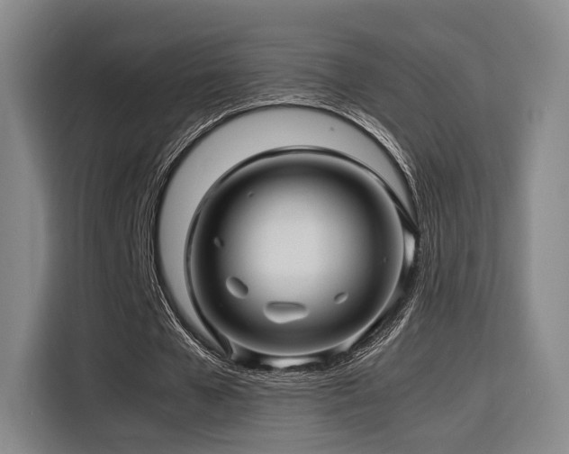 X0000116140577200911231313