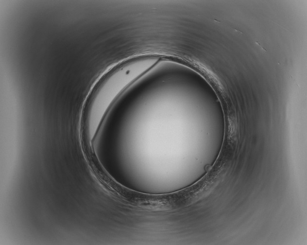 X0000116140580200911231313