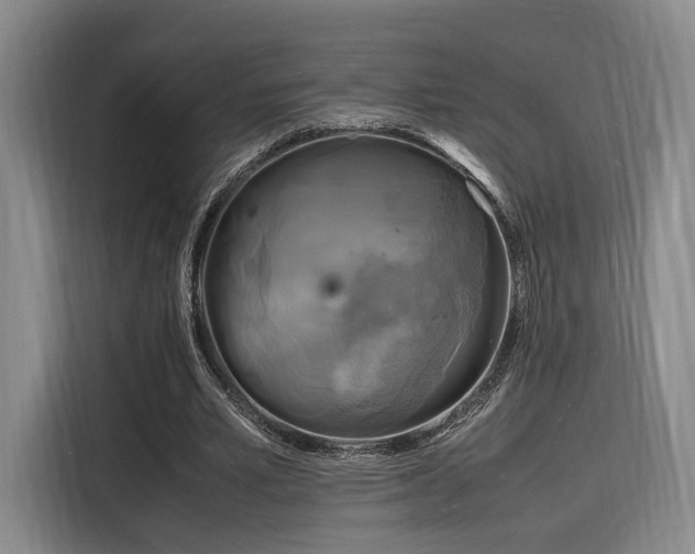 X0000116140581200911231313