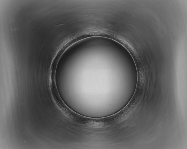 X0000116140582200911231313