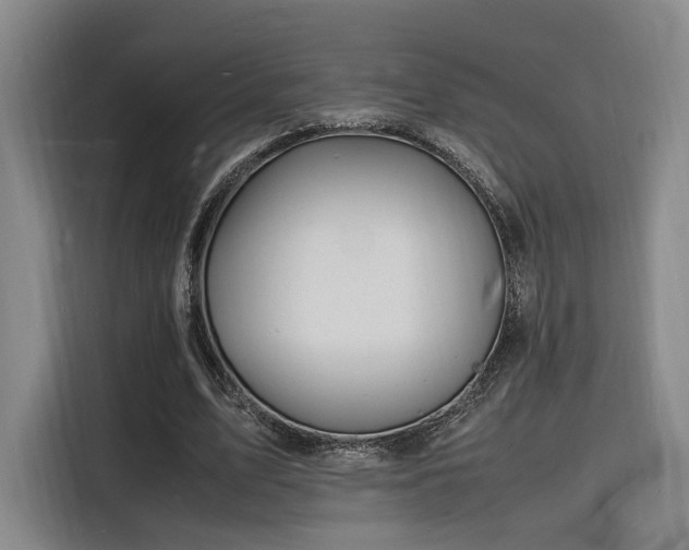 X0000116140583200911231313