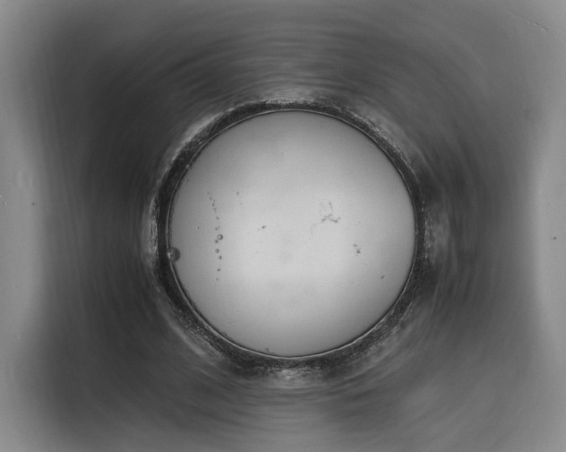 X0000116140584200911231313