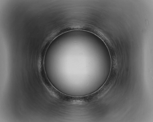X0000116140586200911231313