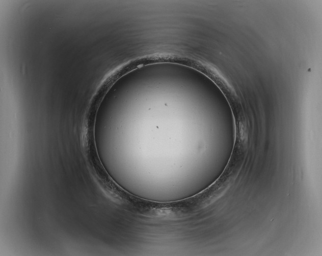 X0000116140588200911231313