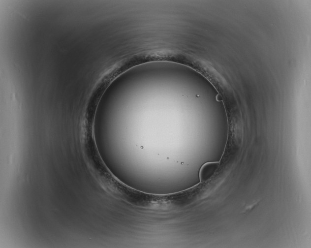 X0000116140591200911231313