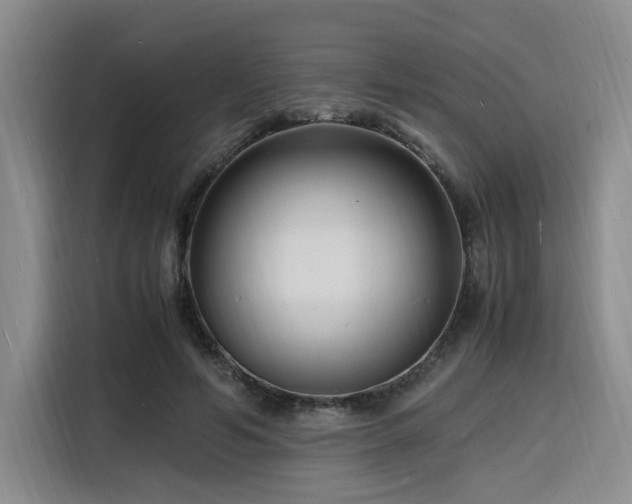 X0000116140594200911231313