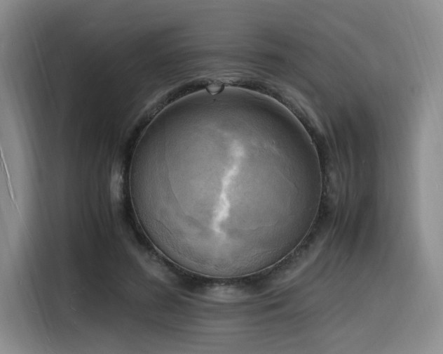 X0000116140596200911231313