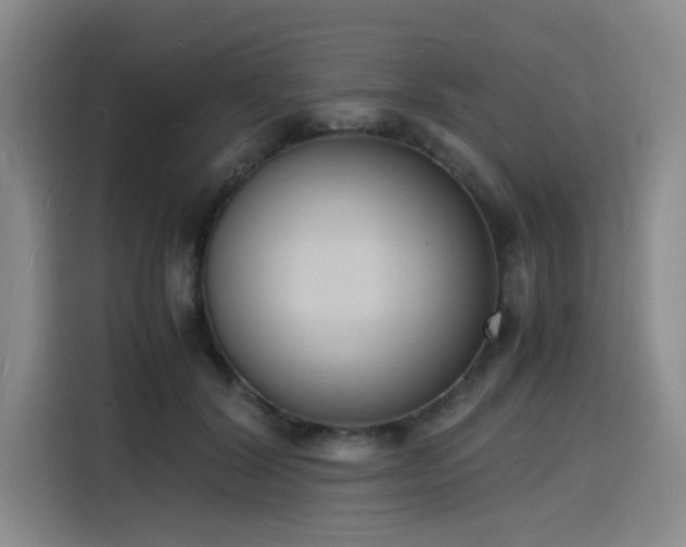 X0000116140604200911231313
