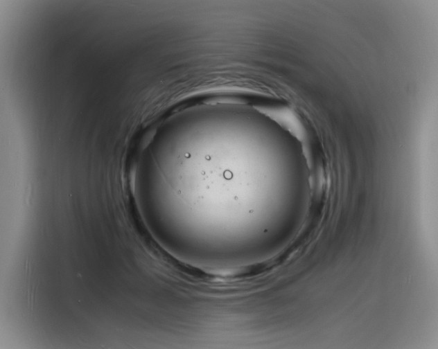 X0000116140605200911231313