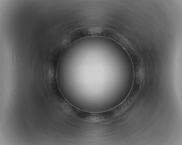 X0000116140608200911231312