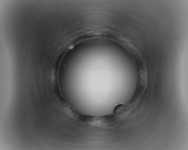 X0000116140612200911231312