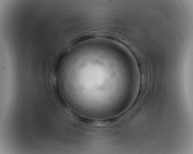 X0000116140613200911231312