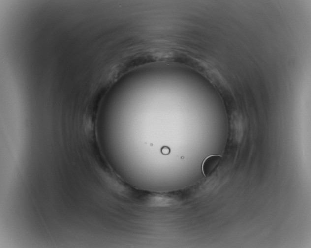 X0000116140614200911231312