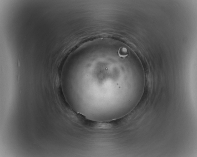 X0000116140617200911231312