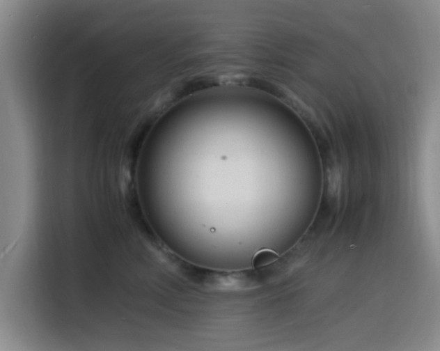 X0000116140618200911231312