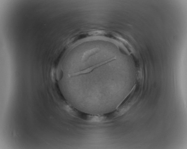 X0000116140621200911231312