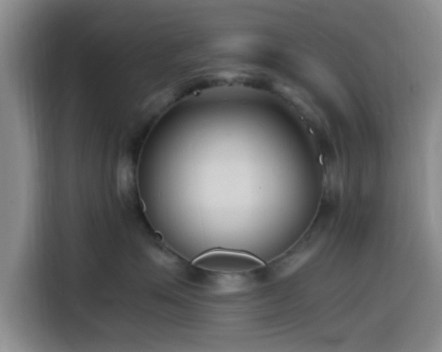 X0000116140623200911231312