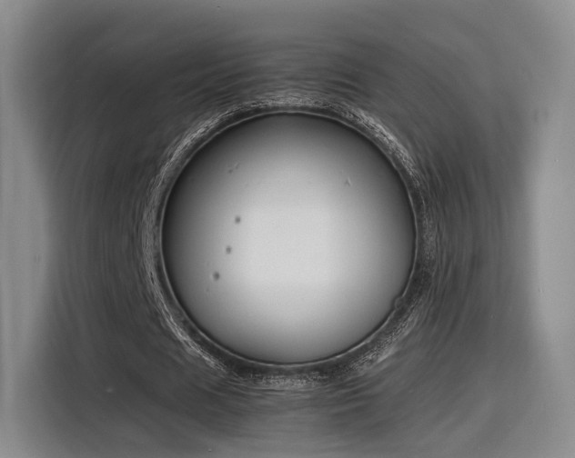 X0000116140625200911231312
