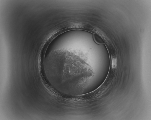 X0000116140627200911231312