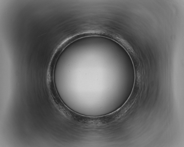 X0000116140628200911231312
