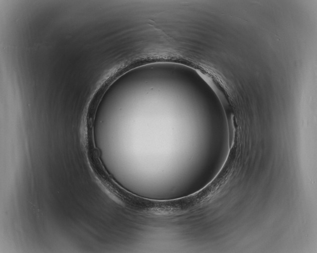 X0000116140630200911231312