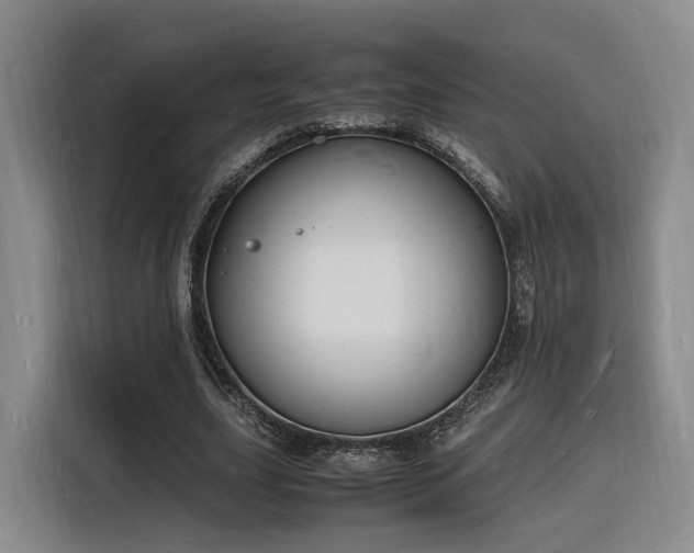 X0000116140631200911231312
