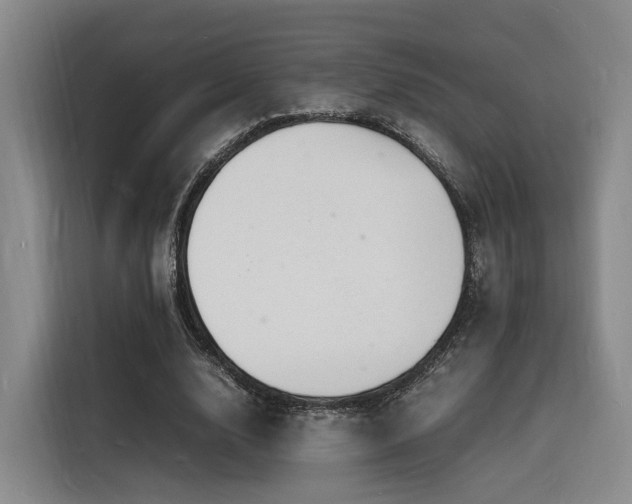 X0000116140632200911231312
