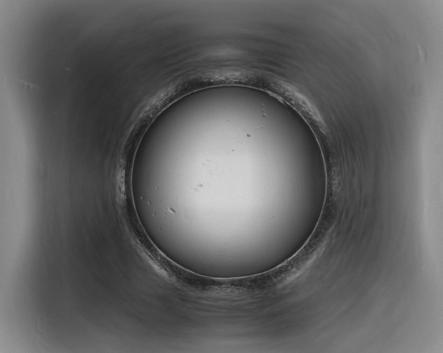 X0000116140633200911231312