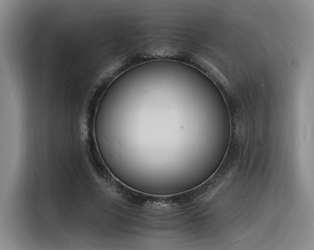 X0000116140635200911231312