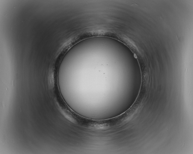 X0000116140638200911231312
