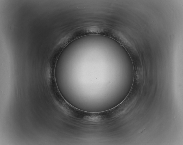 X0000116140639200911231312