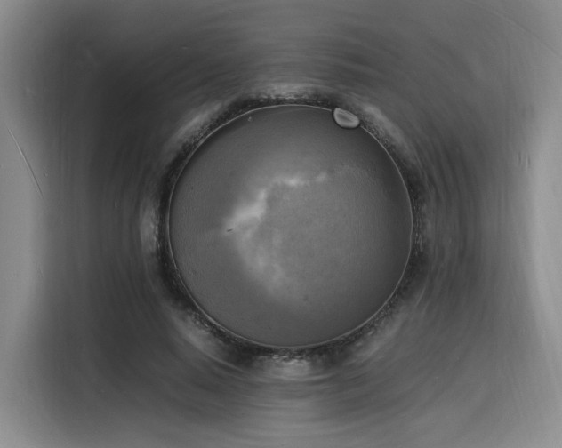 X0000116140640200911231312