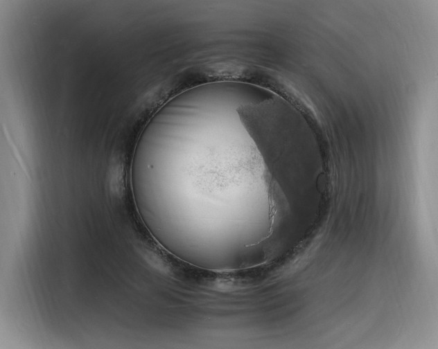 X0000116140641200911231312