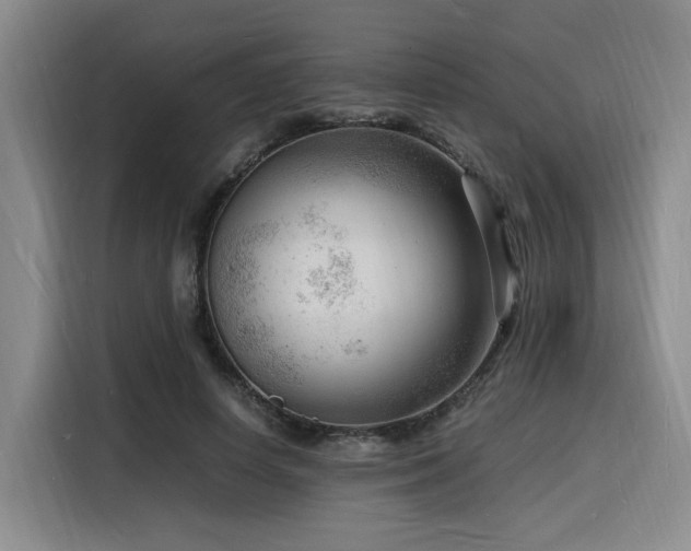X0000116140642200911231312