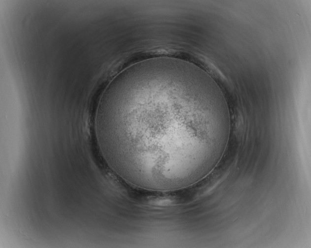 X0000116140643200911231312