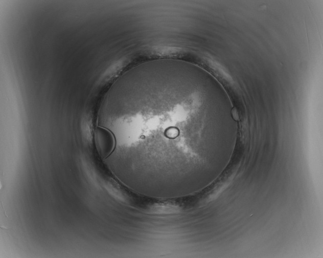 X0000116140644200911231312