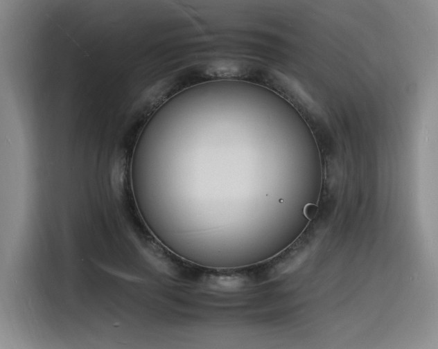 X0000116140645200911231312