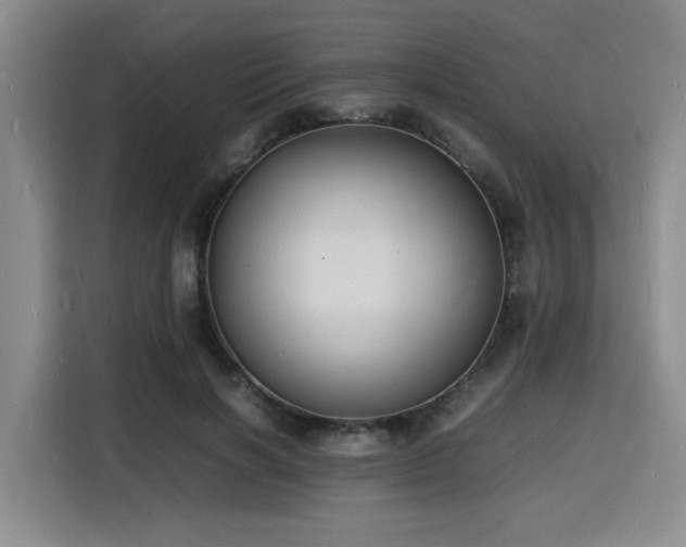 X0000116140646200911231312